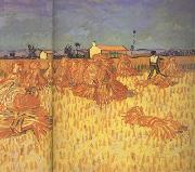 Vincent Van Gogh Harvest in Provence (nn04) Spain oil painting reproduction